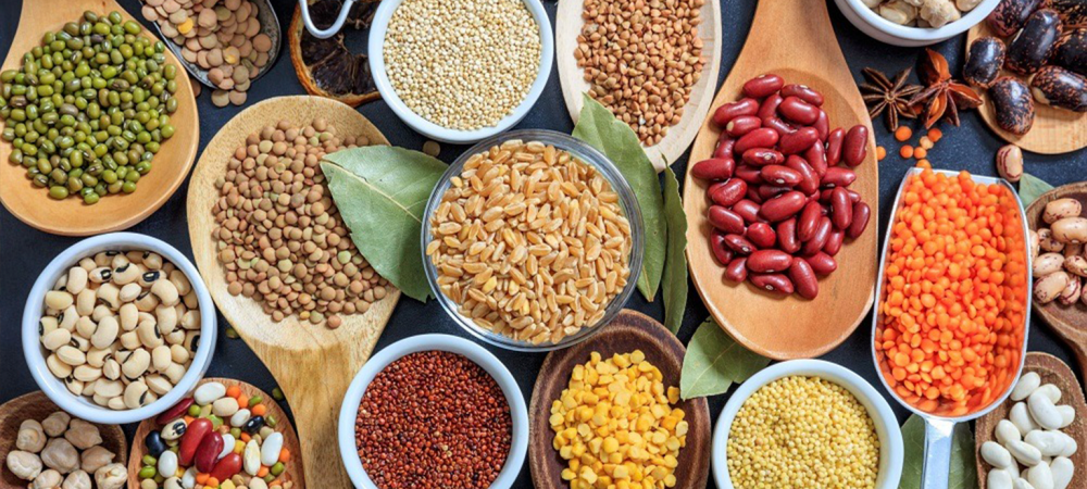 nuts-banner